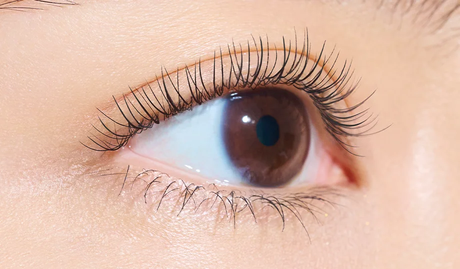 どこまでも塗るほどに⻑く