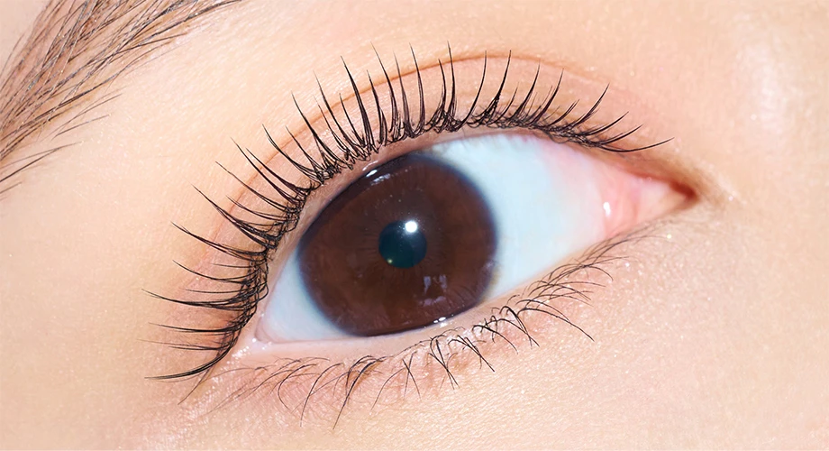 なめらかなツヤ